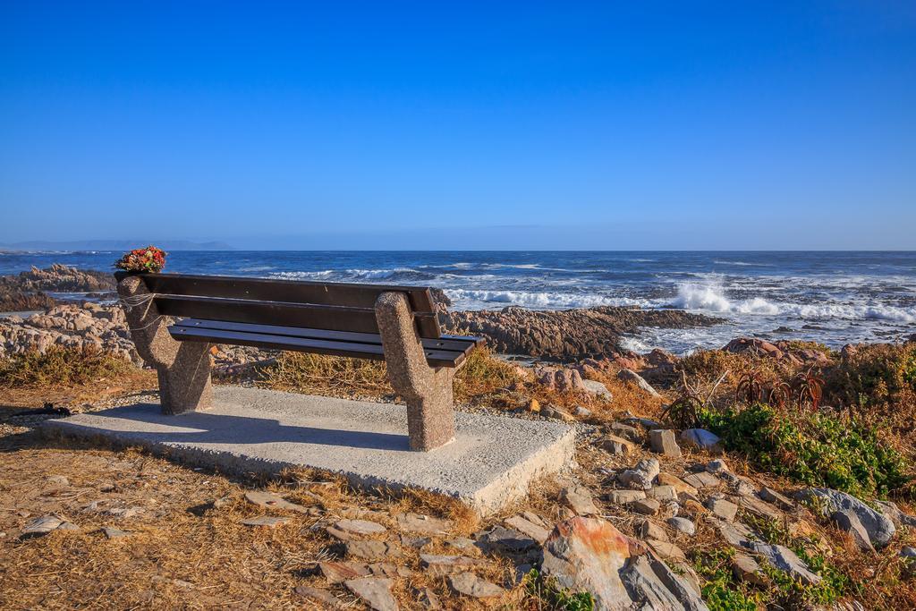 Geheim Luxury Seafront Villa Hermanus Kültér fotó